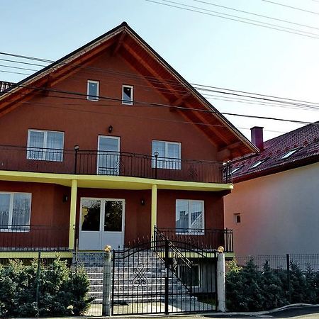 Pensiunea Magnolia Ocna Şugatag エクステリア 写真
